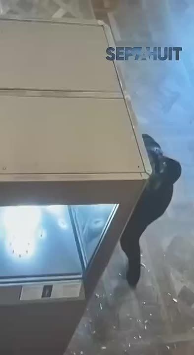 Лувр показал, как его грабили