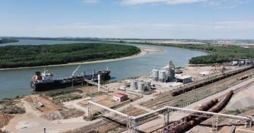 ������� ������� ���� ������������ ���� ������� �� 62 �������� ��������