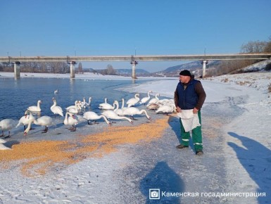 ������������ ��������� ������ ������� � ������� � �������