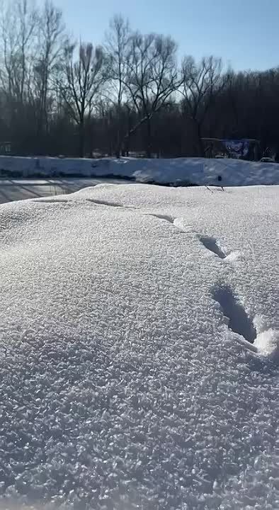 �������� �������� � ������������ ��� �����: ��� ������ �������� � ���� �������