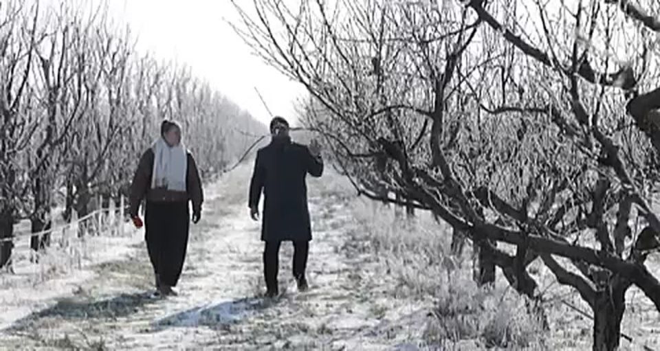 �������� �������, ����� ����� ������ ������� � ��� �� �����