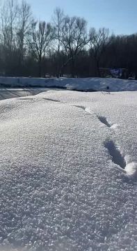 �������� �������� � ������������ ��� �����: ��� ������ �������� � ���� �������