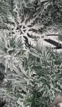 �������, ���� � ������,. ����� ��� �� �������!