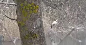 ����� �������� �������� � �������������, ���� ������ ������� ������� � ������