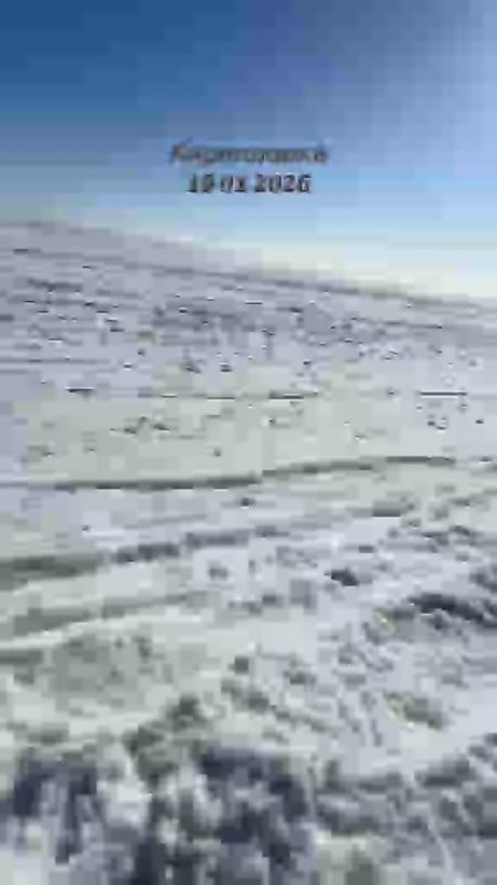 �������� ���� �������. ������� ������ ������� ������ �� ���� �����