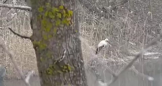 ����� �������� �������� � �������������, ���� ������ ������� ������� � ������