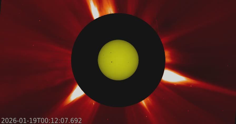 ����� ������ ������������ ����� �������� ��������� ������� � �������