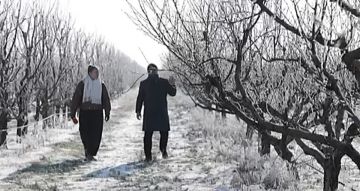 �������� �������, ����� ����� ������ ������� � ��� �� �����