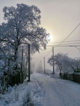 ������ ������� ����������� (���������������� �����), ������� ��������� �����