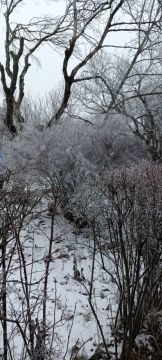 ������ ������� ������� �����