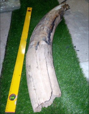 �� � ��! ��������� ������� ��������� ������� � ����� � ������ �������