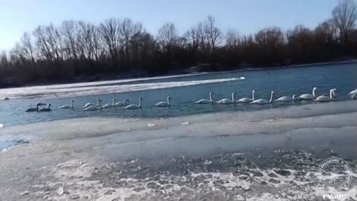 ������� ��������� ������� �� ���� �������� ������ �������� ������������� ��������