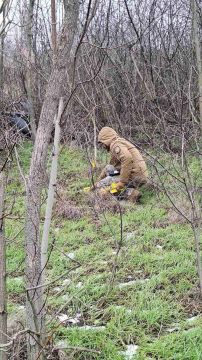 МВД Молдовы: Дрон активен и содержит взрывное устройство!