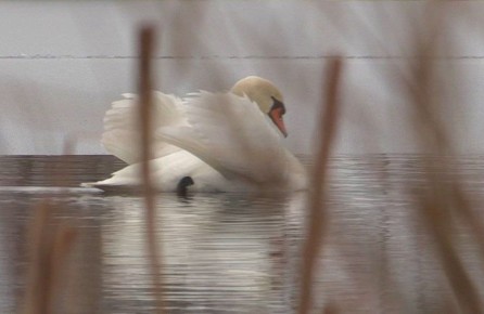 � ������� �������� ������ �������� ������ ����� ����� ������� � ��������� �������