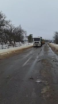 Солидарность дальнобойщиков: две жёлтые фуры остановились, водители активно участвуют в разбирательстве