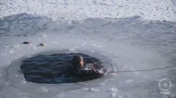 Для учеников столичной гимназии водолазы ГУпЧС провели мастер-класс по спасению людей, провалившихся под лёд