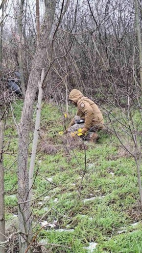 ��� �������: ���� ������� � �������� �������� ����������!