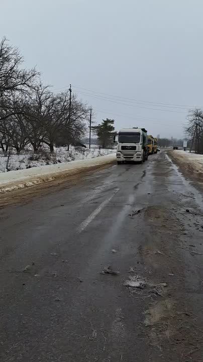 Солидарность дальнобойщиков: две жёлтые фуры остановились, водители активно участвуют в разбирательстве