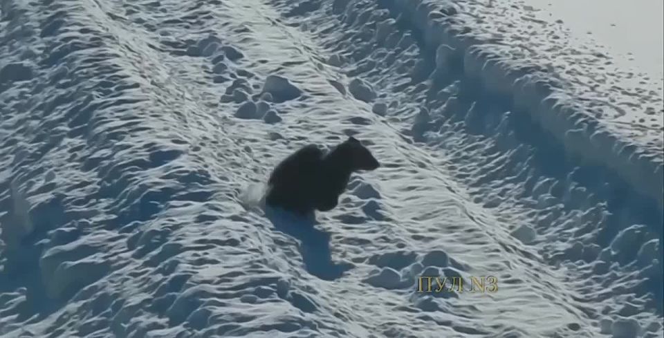 � ���������� ����� ��������� �����, ��� ���������� �������� ��� ������ �� ��������: