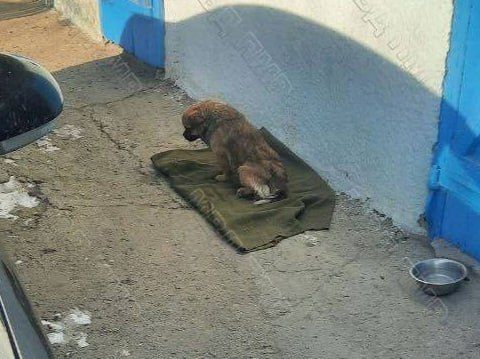 ������������ ���� � ����, ��������� ����� � �������� � �������� ������ � ������ ���, ����� � ���