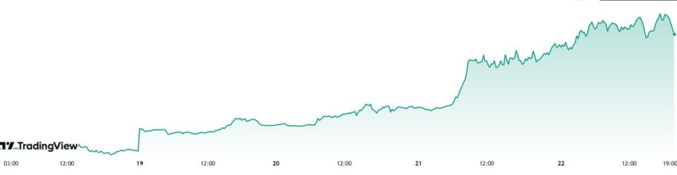 ������������� ������� � ����� ����: