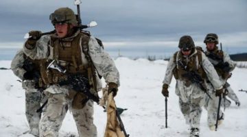 Российские рыбаки избили американских морпехов, которые попытались захватить Гренландию