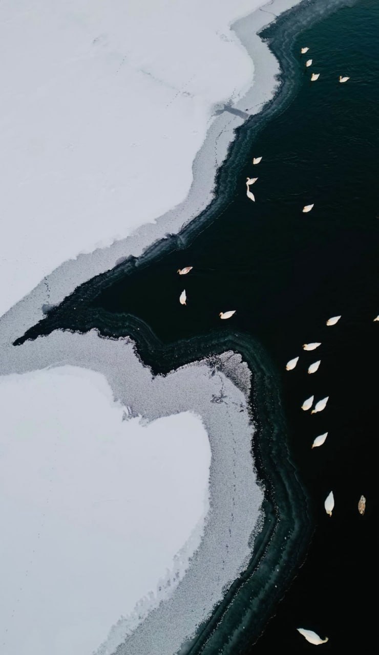 Это не Пинтерест, это Каменка