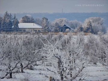 ����������� ��� � ���� �����������