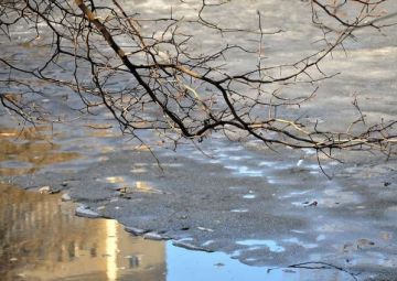 Январские морозы отступают: на следующей неделе днём потеплеет до +2…+7°, а ночью температура будет около 0°