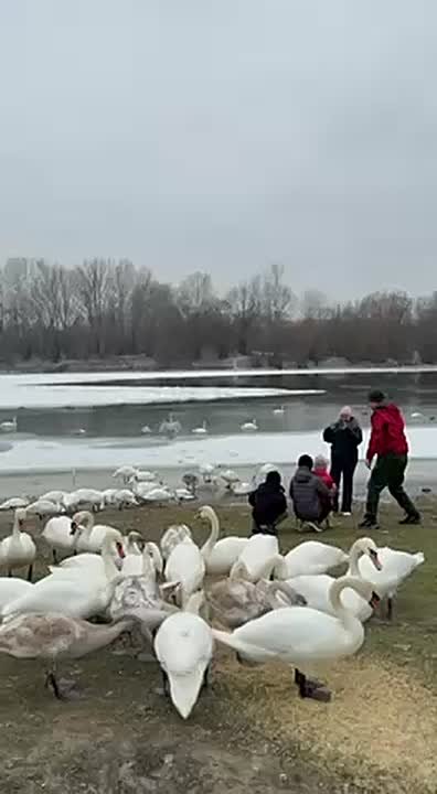 Решение проблемы чем заняться на выходных найдено