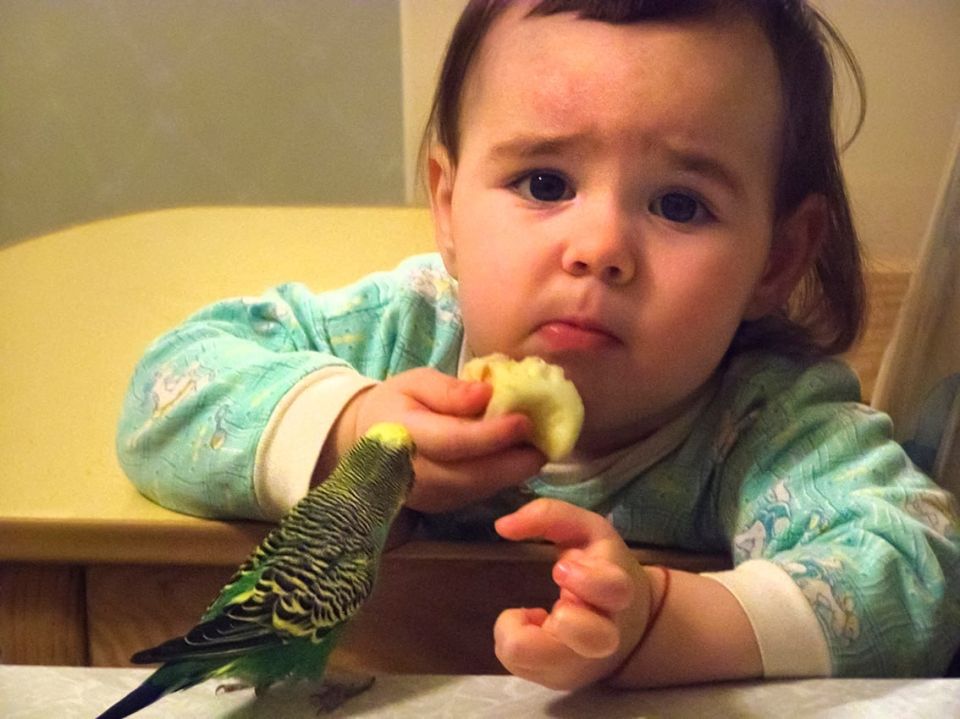 ������� ��������� ������� ������ ����� ������� ������ ������