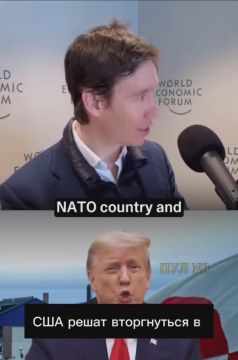 Британский журналист Стюарт – о том, что Путин мечтает, чтобы Трамп захватил Гренландию: