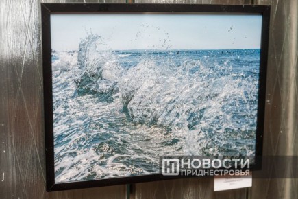 На выставке к 20-летию Союза фотохудожников Приднестровья можно увидеть работы Александра Паламаря, Владимира Иванова, Владимира Громова, Игоря Касьянова и других мастеров фотографии