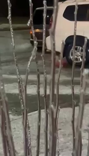 В Приднестровье идет ледяной дождь, деревья, машины покрываются коркой льда