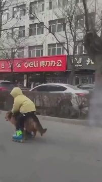 ����� � ����� �������� ����� ���������� ������ ������������ � � ������� ����� �������� �������