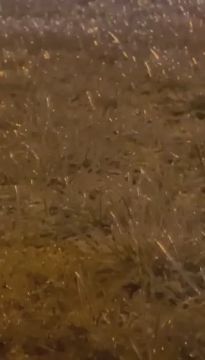 ����� ������������ � ������� ����