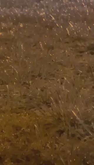 Трава превратилась в ледовые иглы