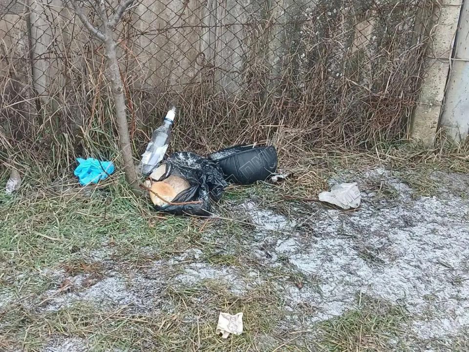 ������ ������ ���� �� �����������, �������� ����� ��� ���� ����� 23 ������