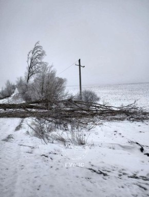 Сёла Мокра, Бессарабка и Новая Жизнь Рыбницкого района остались без электричества: дерево упало на ЛЭП
