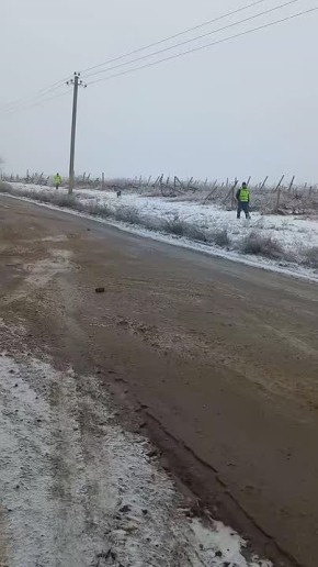 ����� ������� �������� ���� ���������� �� ������ � ���������� ���� ��������