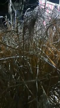 ��� ����� ������ ������������ ����� �� �������� � ���������