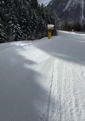 � ������ ���� ������� ������ �� ������������� ����� �� ������