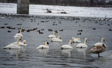 ������ �� ������� � ��������� ������� ��������