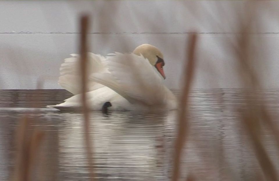 ����� ���� �������� ������ ��������� � �������� �����������