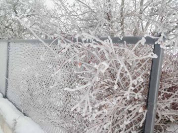 ���� �������������� �������