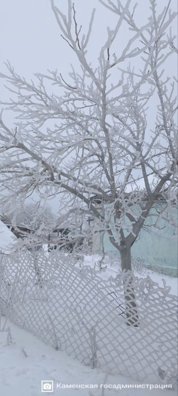 ������� ������� ������� � ���� ����������� � �������-�������