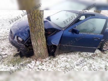 Водитель BMW врезался в дерево