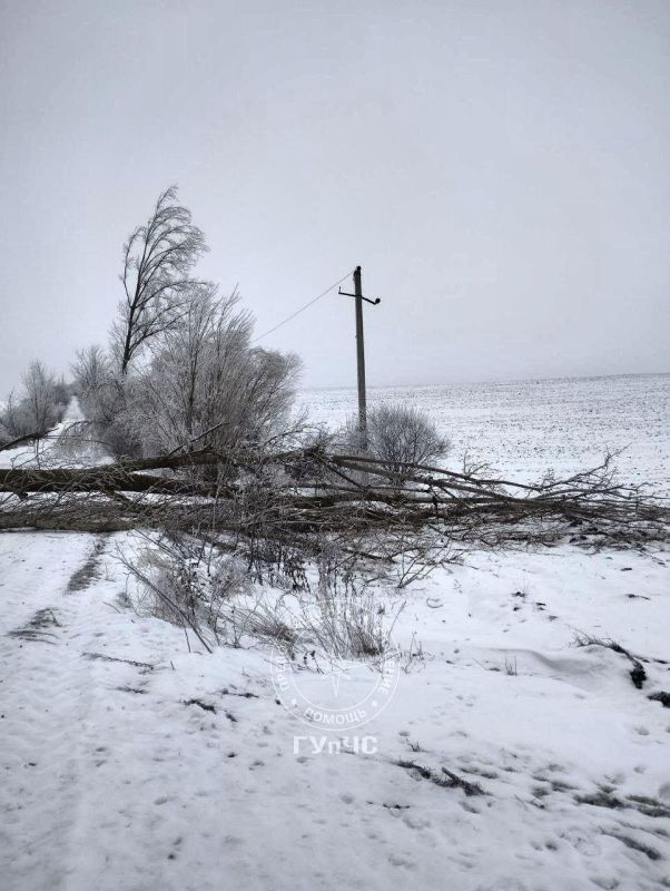 � ��������� ������ ��� ����� �������� ��� ����