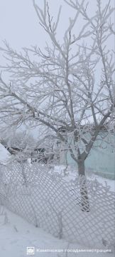 ������� ������� ������� � ���� ����������� � �������-�������