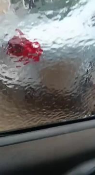 ��� ���� ������, ���������� ��� ������� �������